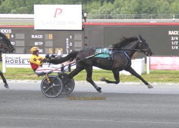 21-1 longshot tops big day for Bruce Ranger