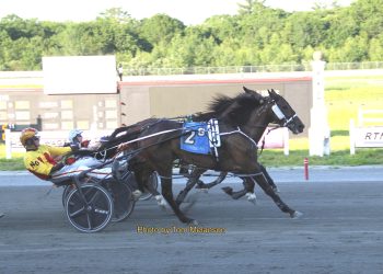 New Zealand import notches fourth straight