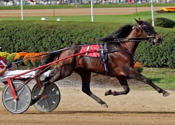 World champion heads Currier & Ives at The Meadows