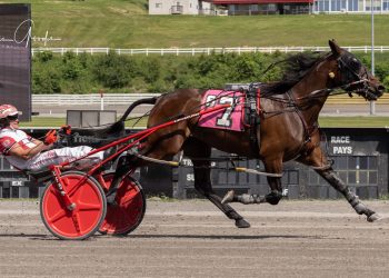 Five straight wins for Silly But Serious