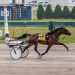 Fillies shine in NYSS at Buffalo Raceway
