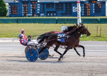 Two-year-old fillies underway in NYSS action