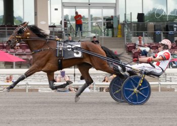 Manchego’s full sister gets first stakes win