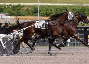 Make it four straight for Sweet And Feisty