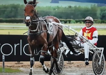 New 14 Lot auction online now