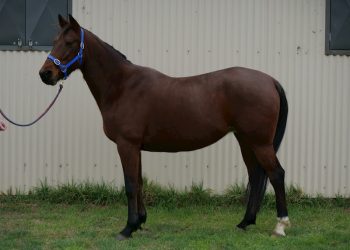 A sale not to be missed!