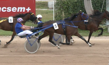Bonaparte Boss captures Dr. Joszef Vecsekloy Memorial in straight heats