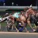 Svanstedt sweeps Yonkers Trot elims, track record set 2