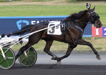 Ari Ferrari J speeds to Big M feature win