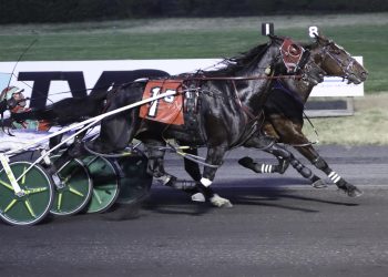 Whole Lotta Lou sweeps Play Meadowlands Series
