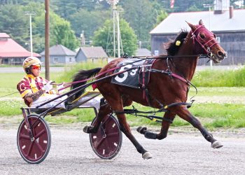 Top pacers set to clash at Cumberland