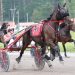 Record handle at Cumberland; Davies sweeps Maine stakes
