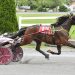 Mikes take Maine Sire Stakes divisions