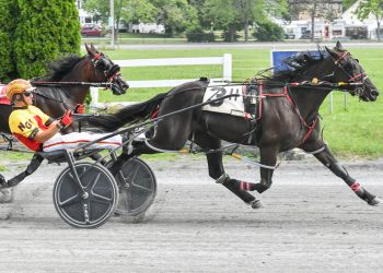 Maine Sire Stakes action at Bangor Raceway