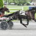 Maine Sire Stakes action at Bangor Raceway