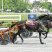 Mrs Foxy Roxy captures second win in Maine Sires Stakes