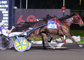 Superb start for Righteous Resolve in $103,100 OSS Gold