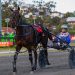 Promising mare puts unbeaten status on the line 2 Promising mare puts unbeaten status on the line