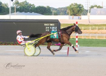 Domovoy scores second Buckeye Stallion Series win
