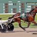 Nine Ohio Sire Stakes for 2YO’s held at Scioto Downs