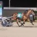 Late rally wins $100,000 OSS at Northfield Park 3