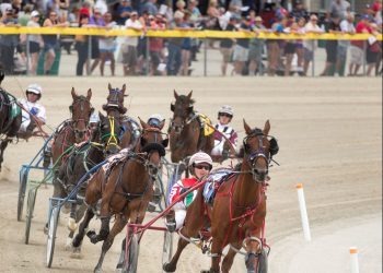 Battle of Waterloo, Battle of the Belles eliminations set