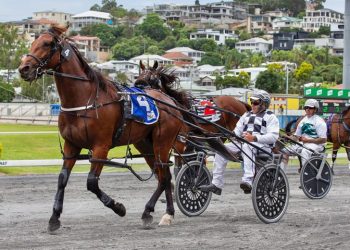 Leap To Fame has the world at his feet