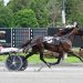 Milieu Hanover romps in Spa debut 2 Milieu Hanover romps in Spa debut