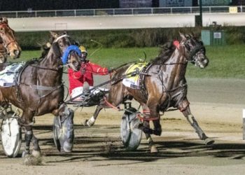 Bettor Isolate stars in Poppy’s Sprint