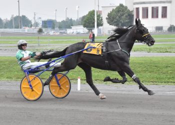 Longshot wins Quebec Series in accident marred race