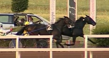 154,000€ Gran Premio Gaetano Turilli to Vivid Wise As