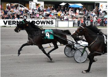 Tomas wins Vernon’s 70th Anniversary Open