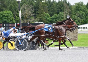 Five straight scores for Shecouldbegood N