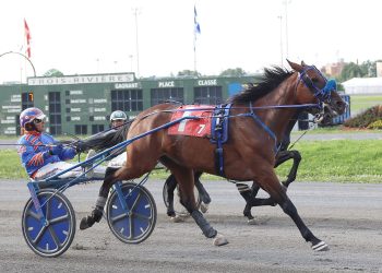 Trotters in the limelight at Hippodrome 3R
