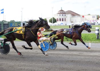 Kinnder Motown romps in Breeders Trophy Series