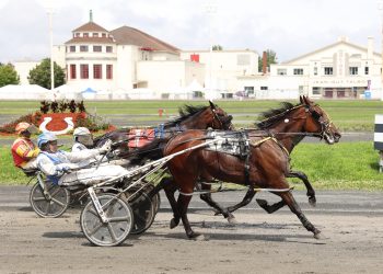 Ladycorona sizzles at H3R in Breeders Trophy Series