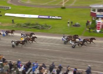 San Moteur wins STL Gold at Arjang