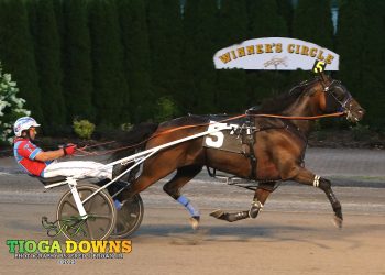 Mystical Wynn crushes in feature trot