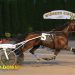 Mystical Wynn crushes in feature trot 1 Mystical Wynn crushes in feature trot