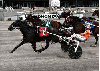 Dream On A Roll upsets at 18-1 in Vernon feature