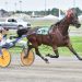 Only For Justice romps in $30,000 Quebec Final