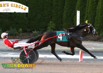 Believer makes a believer in feature trot