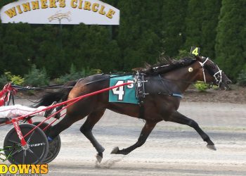 Tioga co-features to Believer, Quarrel