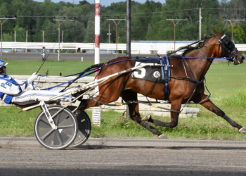 Best Honey Hanover breaks Rideau record