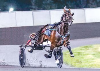 Breedings to Bulldog Hanover, Cattlewash highlight New Vocations auction