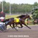 Grassroots colts clash before Mohawk cancels