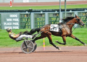 Trotting fillies shine in PA All-Stars Series