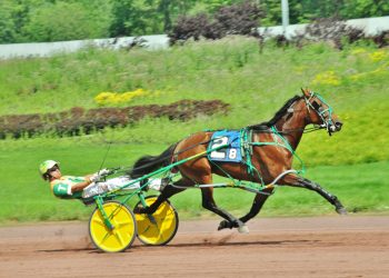 2YO pacing colts shine in PA ALL-Stars action