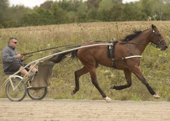 Ken Middleton in hospital after training accident