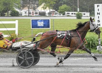 Big crowd sees The Bird Dance N soar in Nichols Memorial